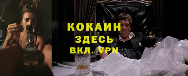 мяу мяу мука Нязепетровск