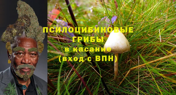 каннабис Няндома