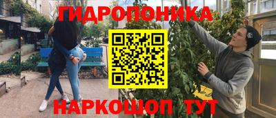 2c-b Кинель