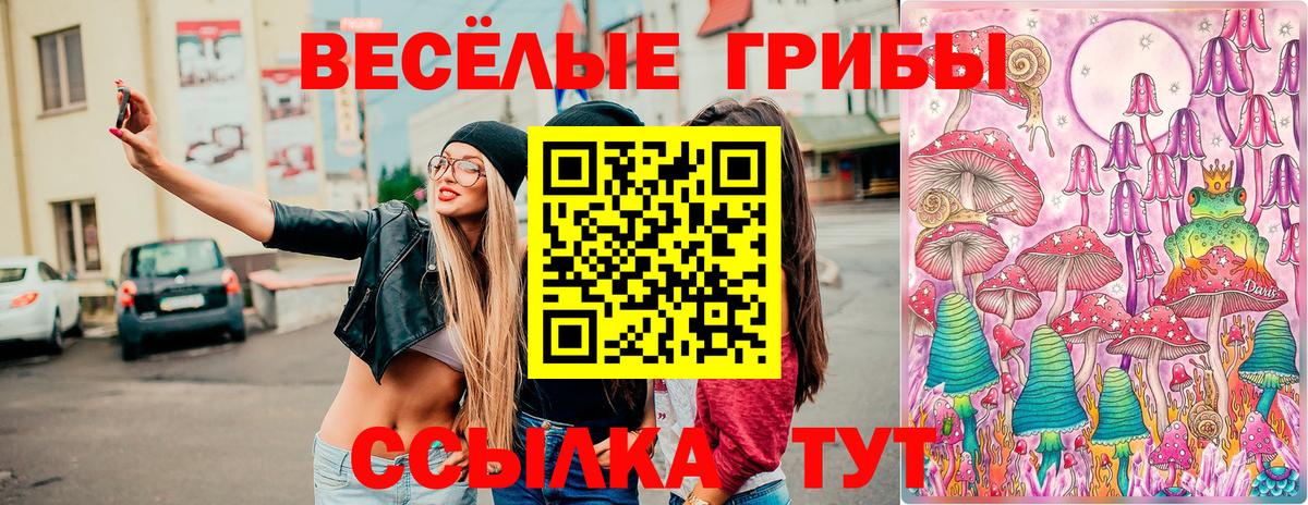 Псилоцибиновые грибы Magic Shrooms  Вход с VPN  Магадан 