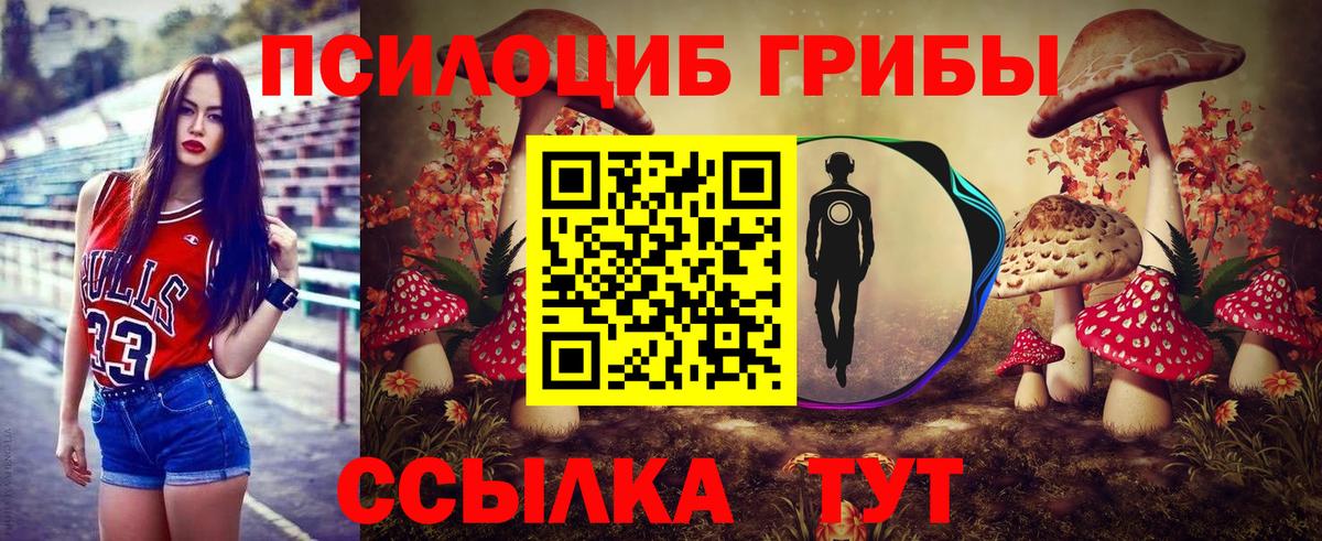 Галлюциногенные грибы Cubensis  Магадан  Галлюциногенные грибы Psilocybine cubensis 