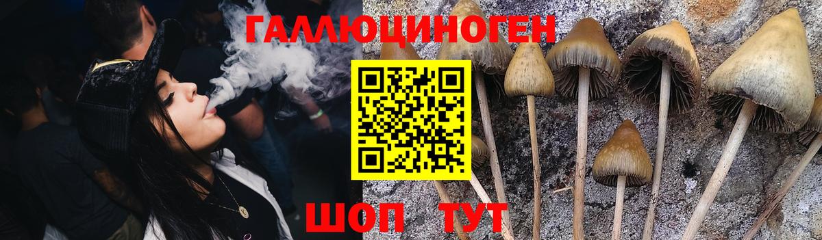 Галлюциногенные грибы Cubensis Магадан